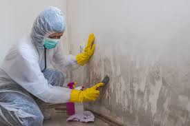 Best Industrial Mold Remediation  in Sophia, WV